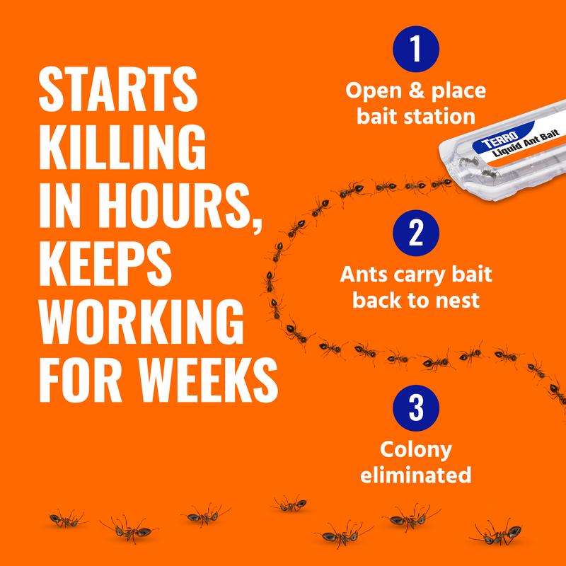 TEERO Ant Killer Bait Stations T300