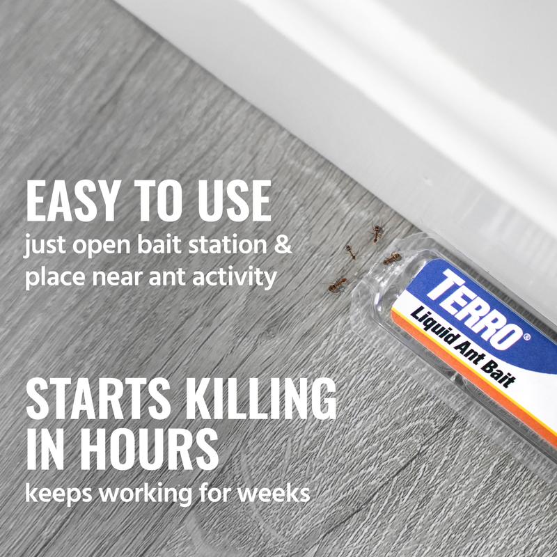 TEERO Ant Killer Bait Stations T300