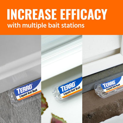 TEERO Ant Killer Bait Stations T300