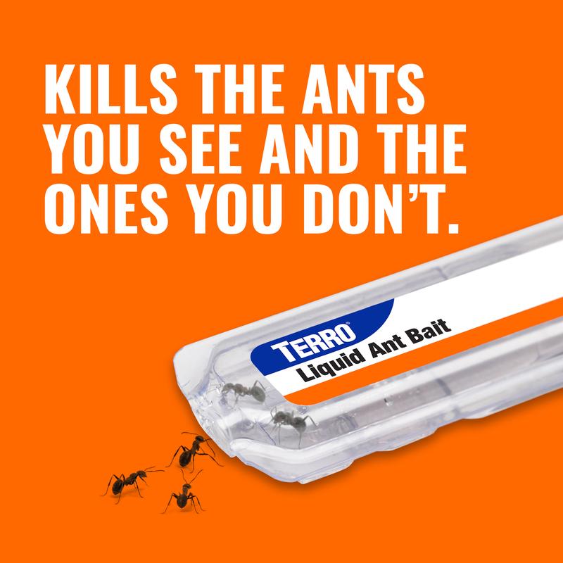 TEERO Ant Killer Bait Stations T300